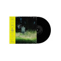 LP / Carter Frank & Rattlesnakes / Dark Raimbow / Vinyl