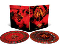 2LPNile / Annihilation Of The Wicked / 20th Anniversary / Vinyl / 2LP