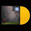 2LPRaye / This Music May Contain Hope / Yellow / Vinyl / 2LP