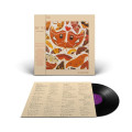LPTalk Talk / Colour Of Spring / 40th Anniversary / Vinyl