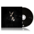 CDGhostkid / Follow The White Rabbit