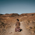 LPSoler Alvaro / El Camino / Vinyl