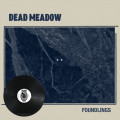 LPDead Meadow / Foundlings / Vinyl