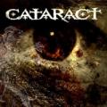 CDCataract / Cataract