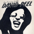 LPPeel David / An Evening With David Peel / Vinyl