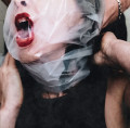 CDDying Wish / Flesh Stays Together