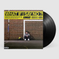 LPSonger / What If I Say No? / Vinyl
