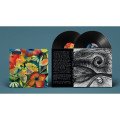 2LPLenker Adrianne / Songs And Instrumentals / Vinyl / 2LP