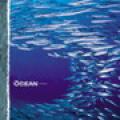 CDOcean / Fluxion