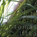 CDLika Tom / Invisible World