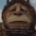 CDOST / Where The Wild Things Are / Karen And The Kids