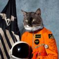 CDKlaxons / Surfing The Void