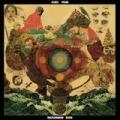 2LPFleet Foxes / Helplessness Blues / Vinyl / 2LP