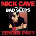 CD/DVDCave Nick / Tender Prey / Remastered / Collectors Edition / Cd+DVD