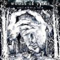 CDWoods Of Ypres / Woods 5:Grey Skies & Electric Light