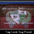 LPDropkick Murphys / Sing Loud,Sing Proud! / Vinyl