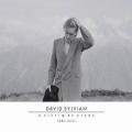 2CDSylvian David / Victim Of Stars1982-2012 / 2CD