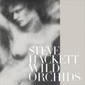 CDHackett Steve / Wild Orchids / Digipack