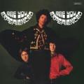 LPHendrix Jimi / Are You Experienced / Vinyl / 180gr / Mono / UK