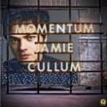 CD/DVDCullum Jamie / Momentum / 2CD+DVD