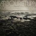 LPArbouretum / Coming Out Of The Fog / Vinyl