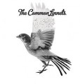 CDCommon Linnets / Common Linnets