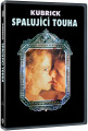 DVDFILM / Spalujc touha / Eyes Wide Shut