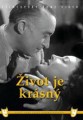 DVDFILM / ivot je krsn / 1940 / Digipack