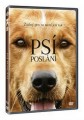 DVDFILM / Ps posln / A Dog's Purpose