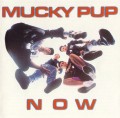 CDMucky Pup / Now