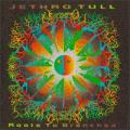 CD / Jethro Tull / Roots To Branches / Remastered