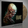 LP / Severe Torture / Torn From The Jaws Of Death / Coloured / Vinyl