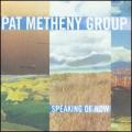 CD / Metheny Pat / Speaking Of Now