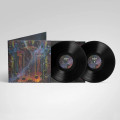 2LPSoulburn / Quantifying Cosmic Doom / Vinyl / 2LP