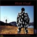 2CDPink Floyd / Delicate Sound of Thunder / 2CD