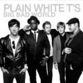 CDPlain White T`s / Big Bad World