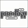 CDProdigy / Experience