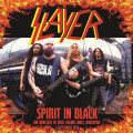 LP / Slayer / Spirit In Black:Live Monsters Of Rock 1994 / Vinyl