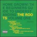 CDRoots / Home Grown!The Beginners Guide...Vol.1