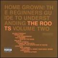 CDRoots / Home Grown!The Beginners Guide...Vol.2