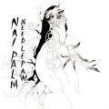 2LPPalm Nai / Needle Paw / Vinyl / 2LP