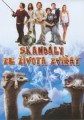 DVDFILM / Skandly ze ivota zvat / Strange Wilderness