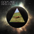 2LPGov't Mule / Dark Side Of The Mule / Glow In The Dark / Vinyl / 2LP