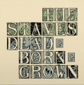 LPStaves / Dead & Born & Grown / Coloured / Vinyl