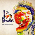 2LPHendrix Jimi / Many Faces Of Jimi Hendrix / Trib / Color / Vinyl / 2LP