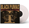 LP / Black Pumas / Chronicles Of Diamonds / Clear / Vinyl
