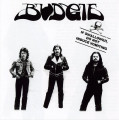 LPBudgie / If Swallowed Do Not Induce Vomiting / EP / Import / Vinyl