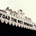 2LPToad The Wet Sprocket / Welcome Home:Live... / RSD 2025 / Vinyl / 2