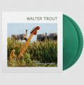 2LPTrout Walter / Common Ground / Green / Vinyl / 2LP