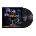 LPForeigner / In The Eye Of The Storm / Vinyl